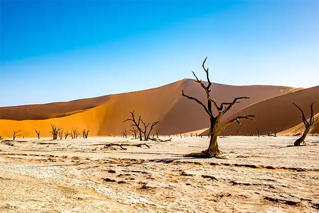 صحراء ناميب الجنوبية. ناميبيا